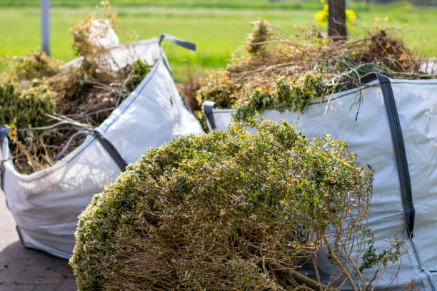 Best Office Junk Removal  in Murrieta, CA