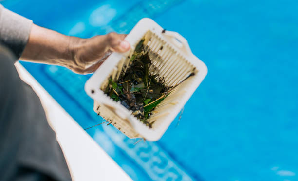 Best Estate Cleanout Services  in Murrieta, CA